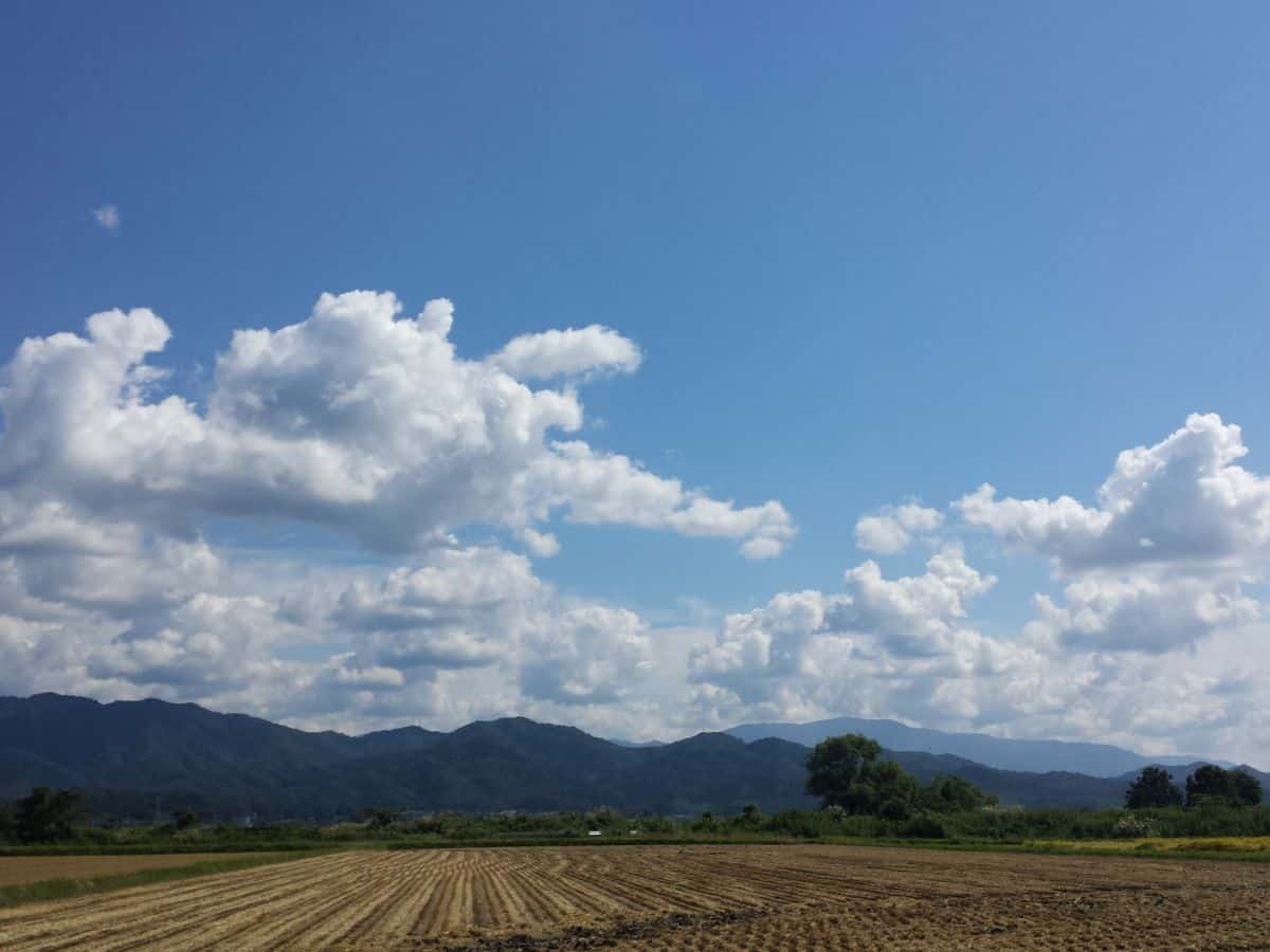 Extreme weather occurrences improved global weather.